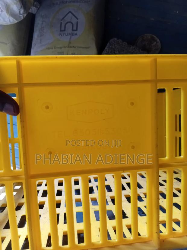 Kenpoly Plastic Crates - thumbnail 3