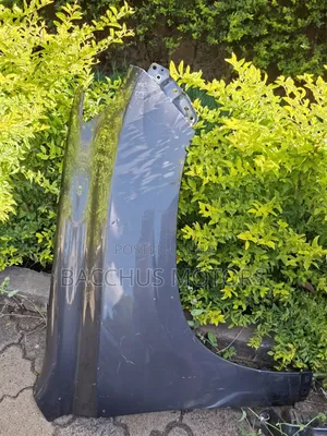 For Sale: Front Fender for Toyota Prado 150