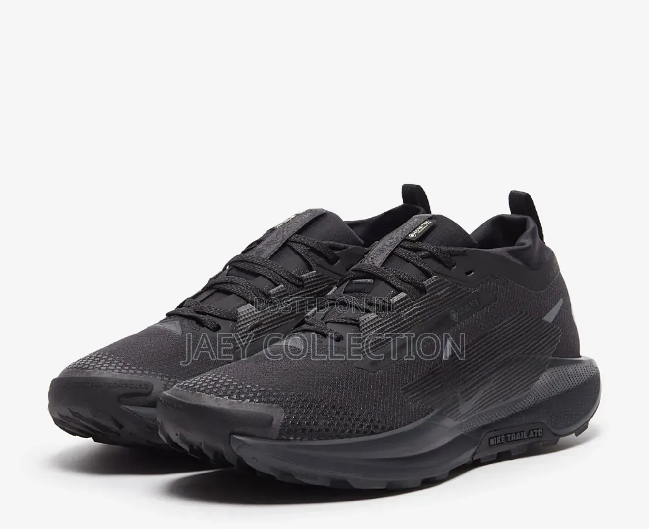Nike Pegasus Trail 5 Gore-Tex