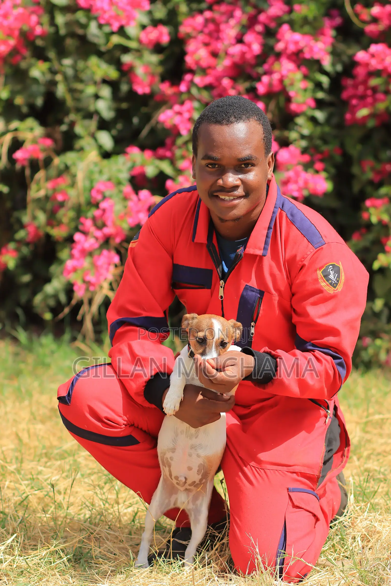 Dog Obedience Training | Professional Dog Trainer Near Me | Nairobi,