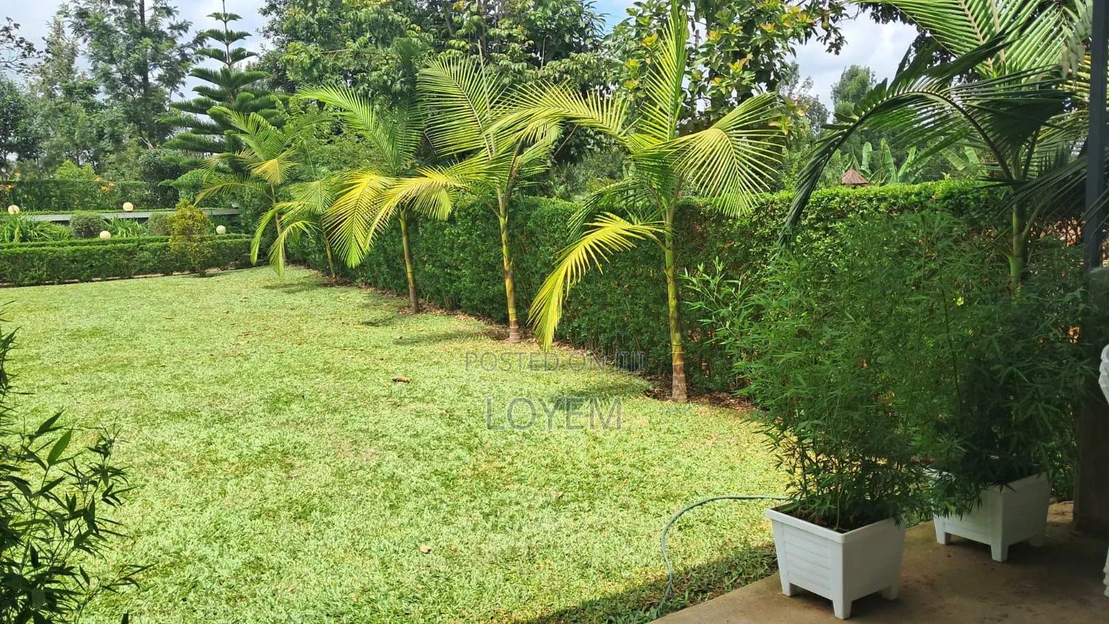 1/4 Acre Property