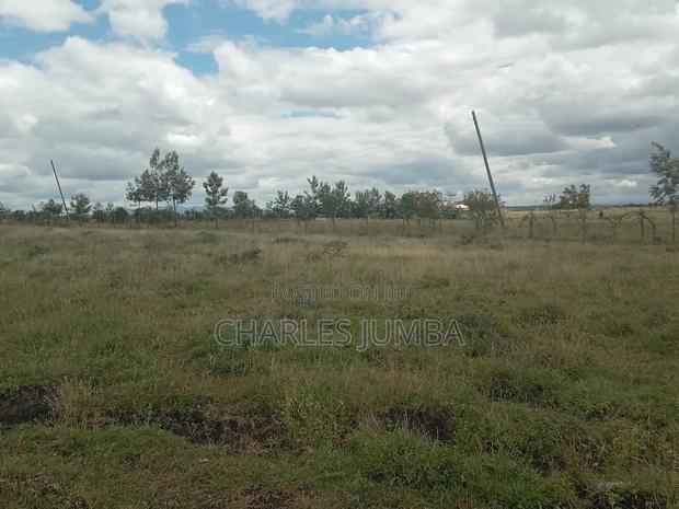 1 Acre Plot - thumbnail 2
