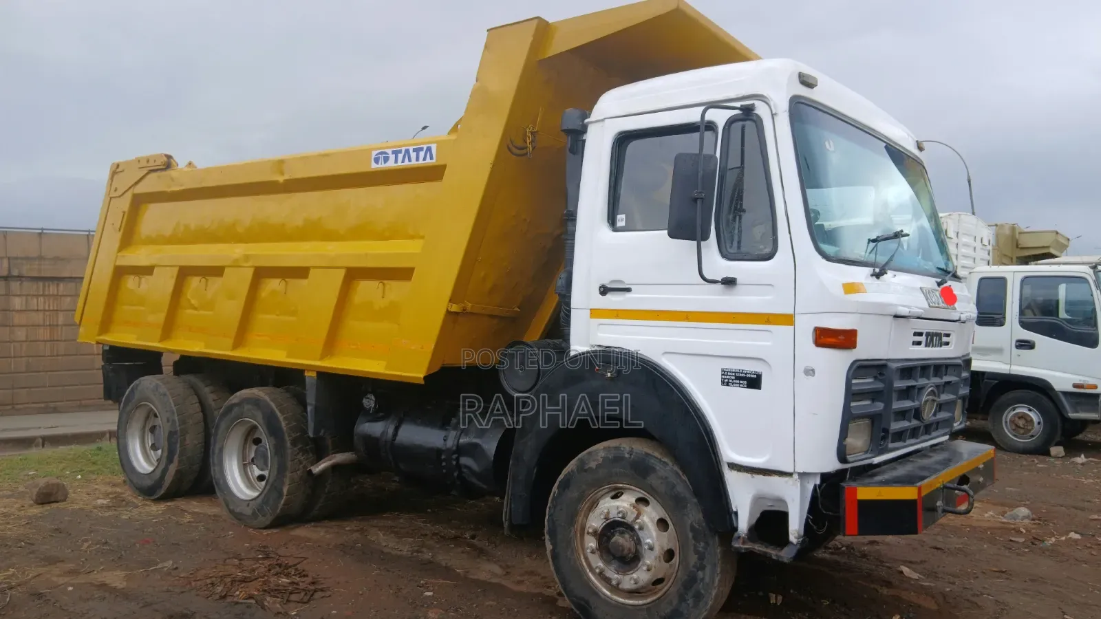 Tata Tipper Truck for Sale