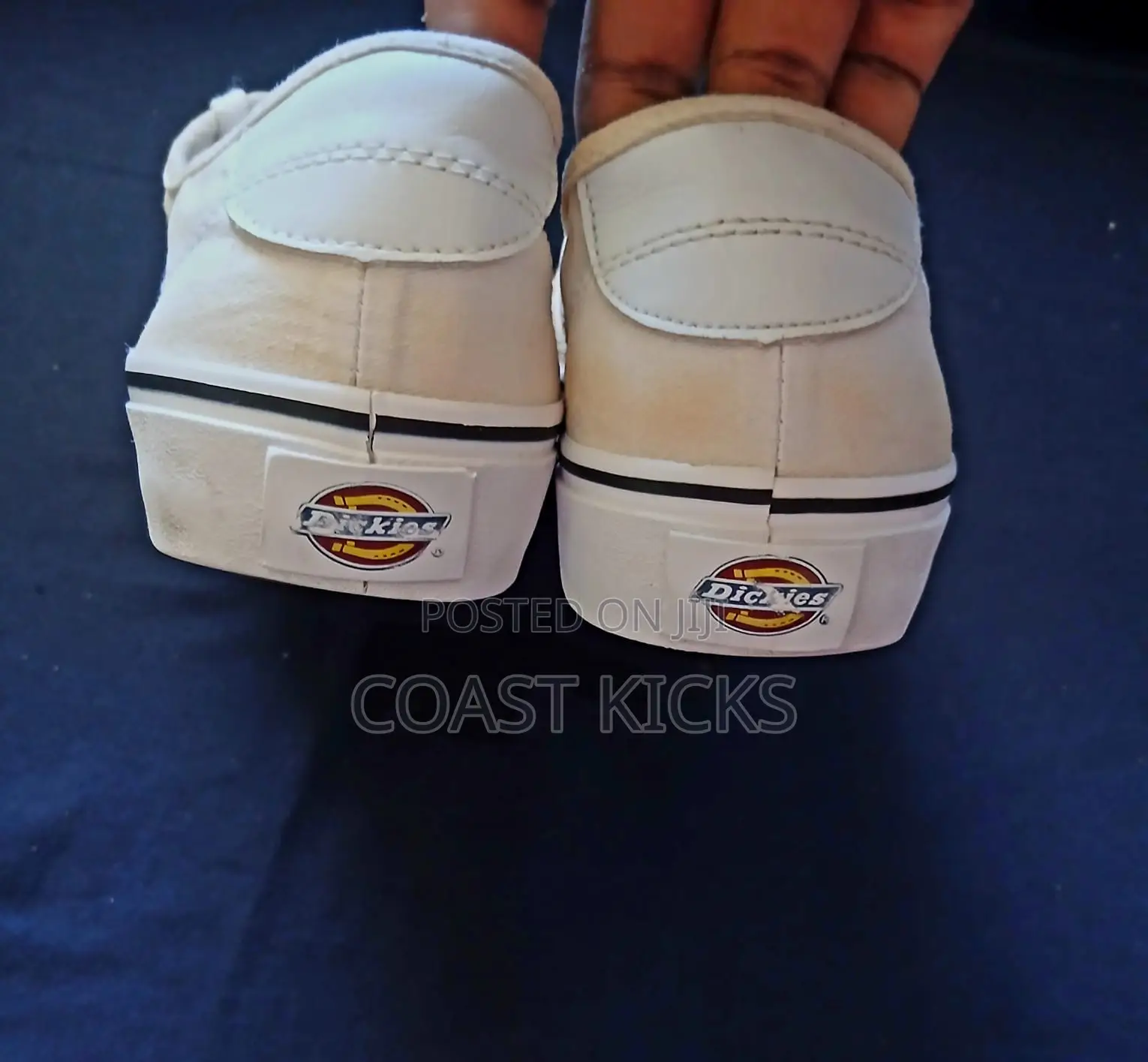 Dickies Shoes