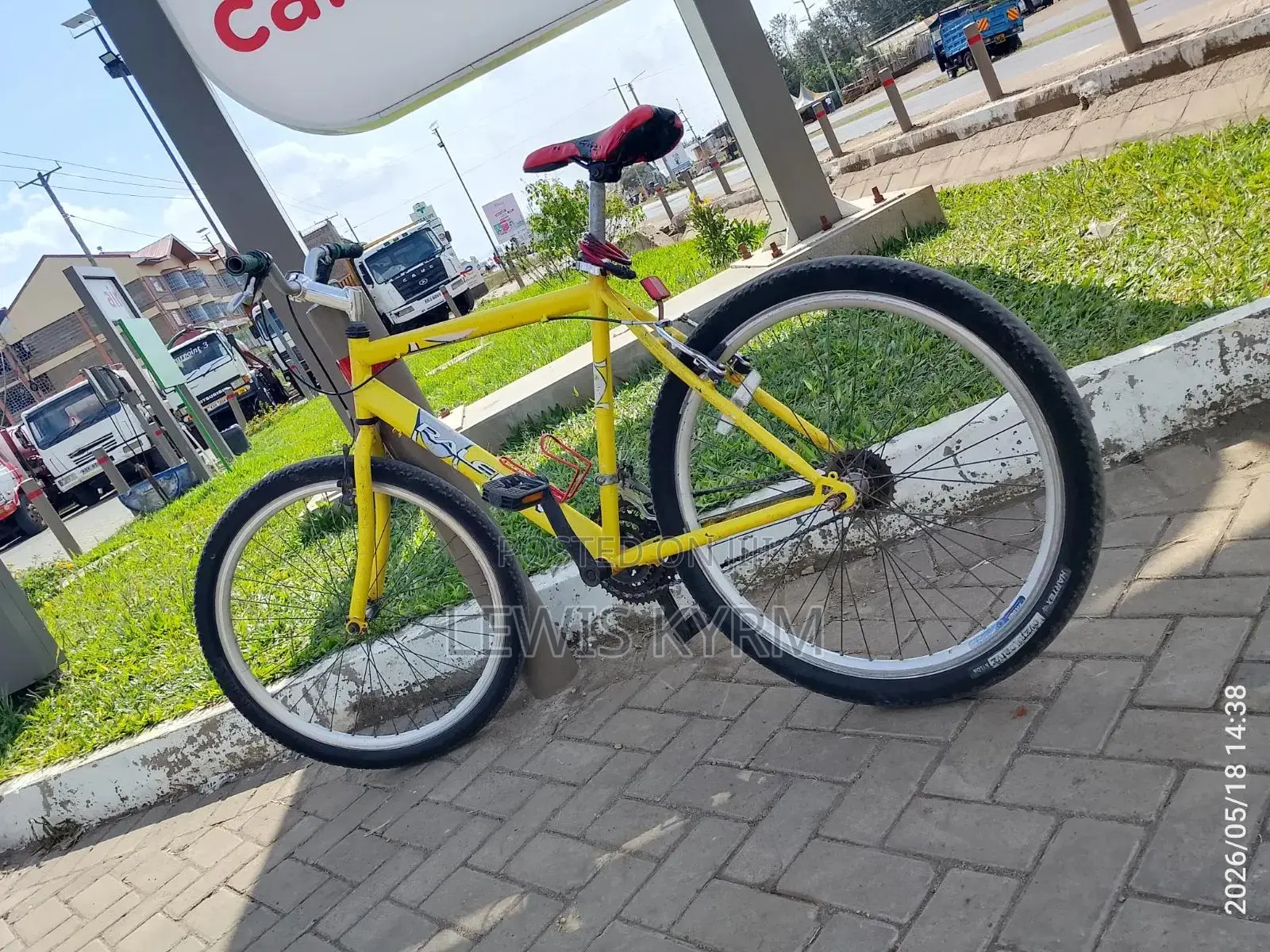 Raleigh Adult Bicycle.