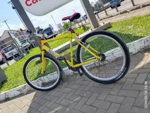 Raleigh Adult Bicycle.