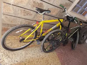 Raleigh Adult Bicycle.