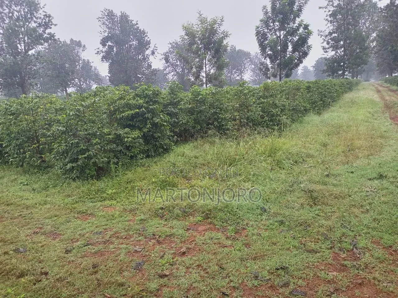 2acres Land Makuyu Muraga