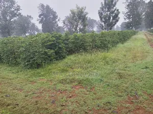 2acres Land Makuyu Muraga