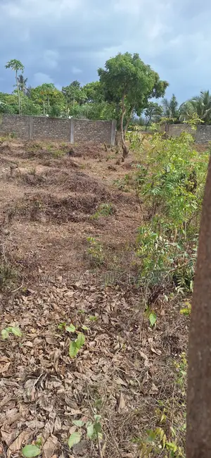 Plot for Sale in Kilifi Bofa Roka