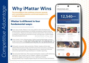 Professional Pitch Deck Company Profile Design