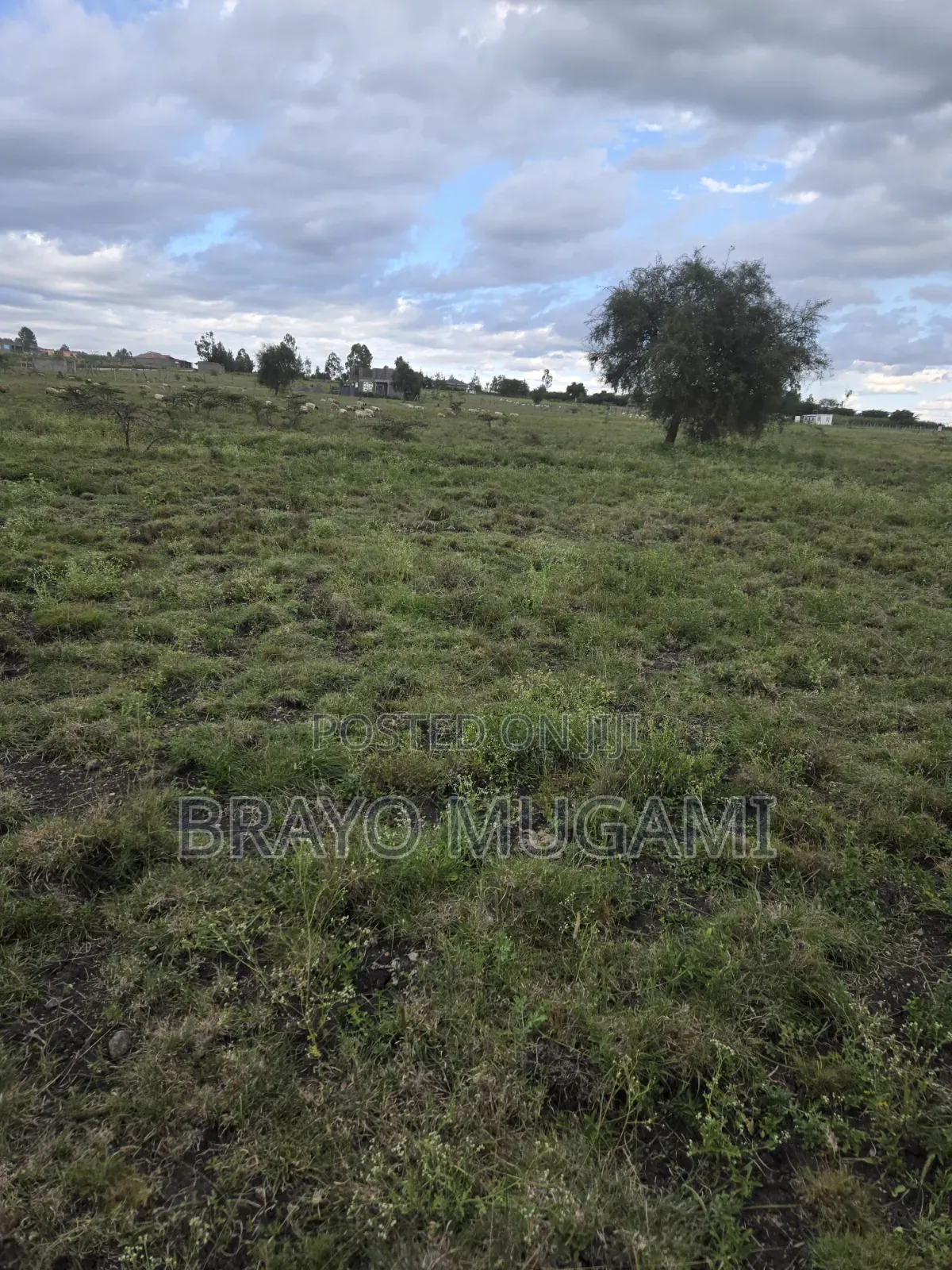 Plots for Sale in Kitengela