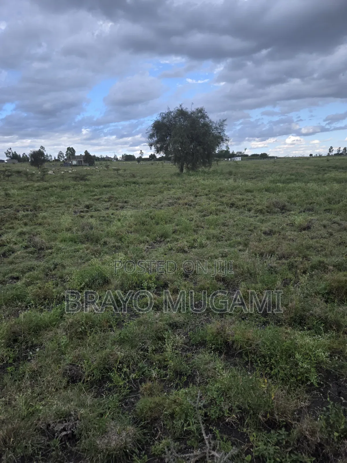 Plots for Sale in Kitengela