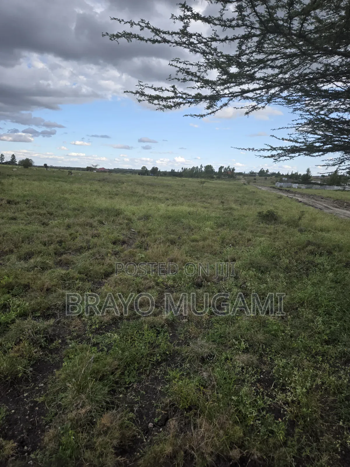 Plots for Sale in Kitengela