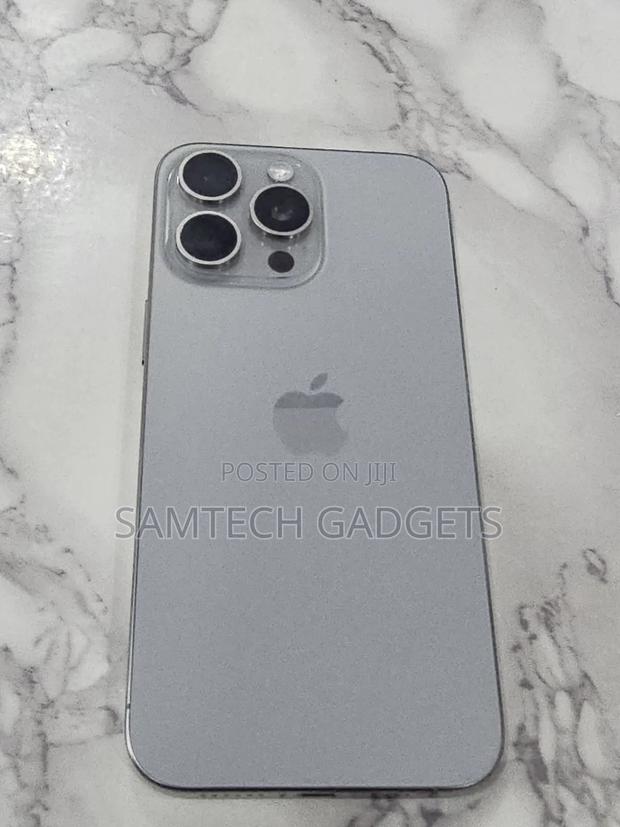 Apple iPhone 15 Pro Max 256 GB Gray