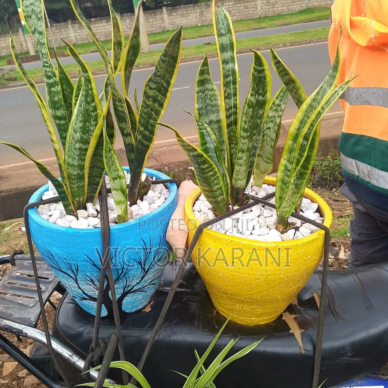 Painted Clay Pots