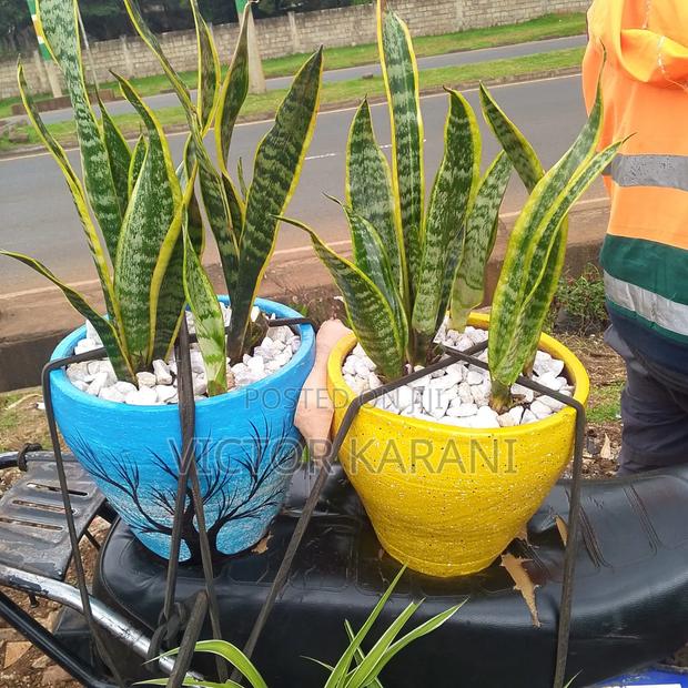 Painted Clay Pots