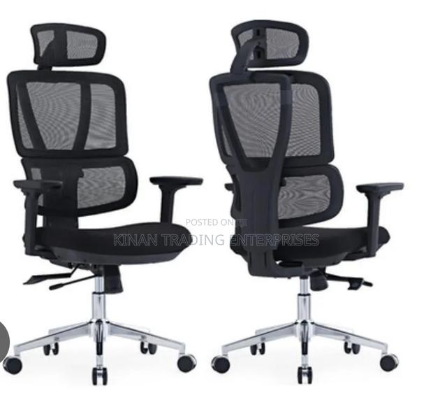 Flexon Ergonomic / Orthopaedic Office Chair