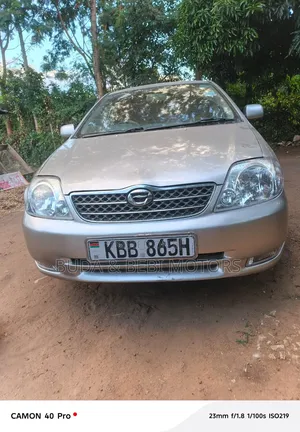 Toyota Corolla 2005 Silver