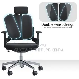 Dual Back Office Ergonomic Seat.
