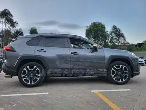 Toyota RAV4 Adventure 2019 Gray