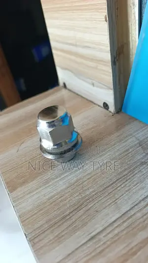Toyota Nut Size 21