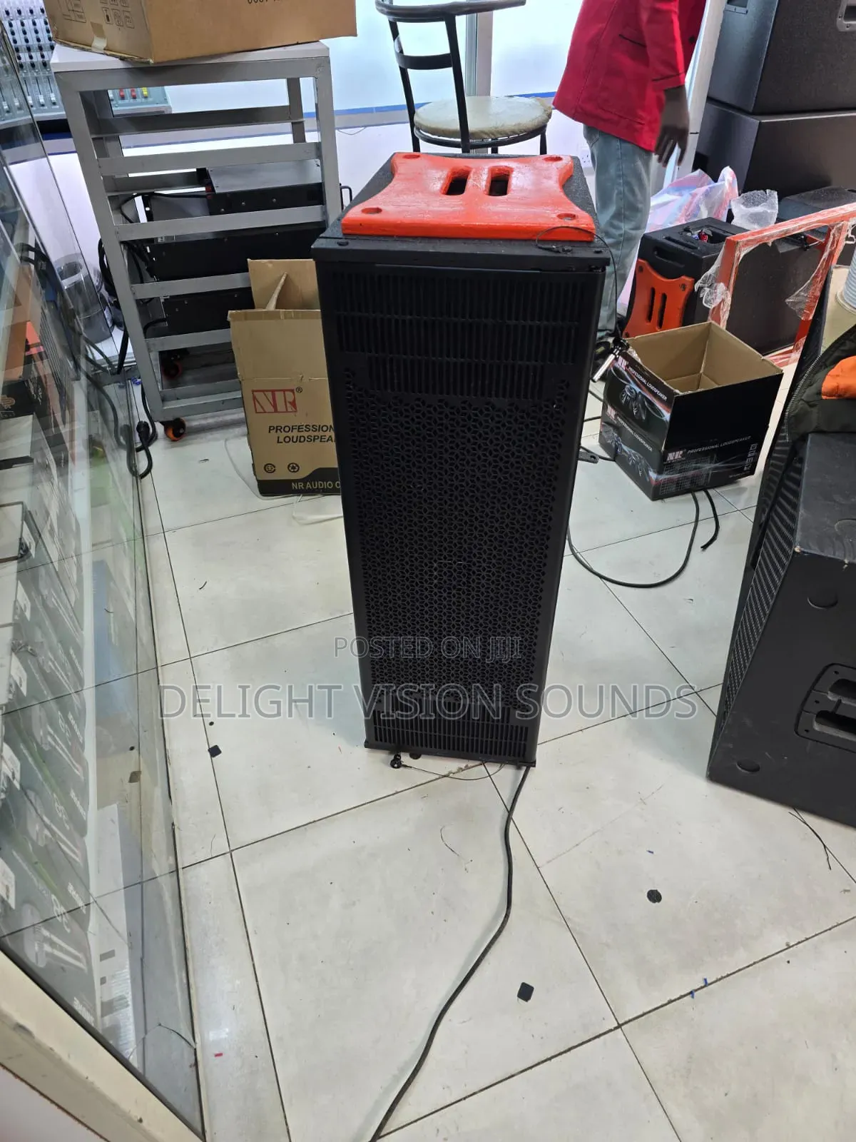 Linearry 12 Inches Passive Speakers