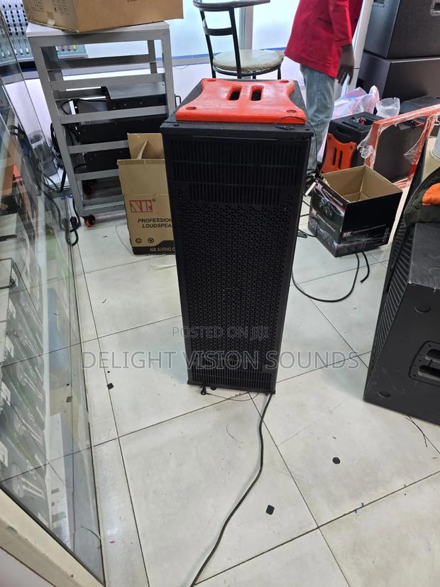 Linearry 12 Inches Passive Speakers