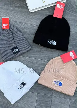Unisex North Face ,Celine , Stone Island Beanies