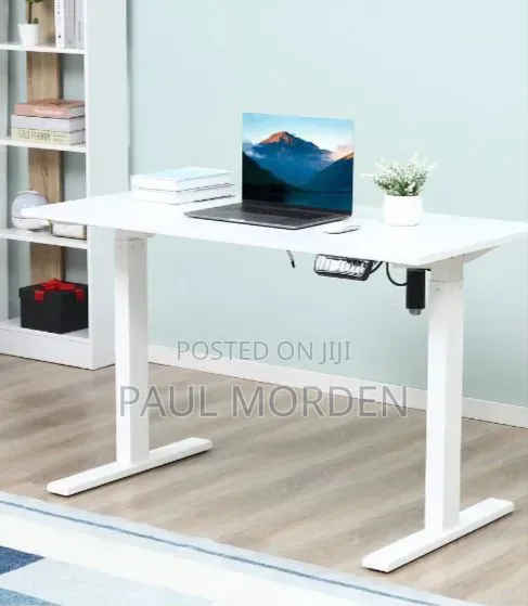 Modern Electric Adjustable Desk