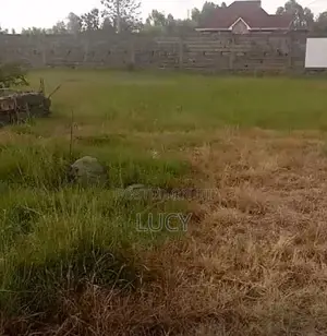 50*80 Plots For Sale In Kamakis, Mitikenda