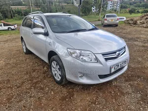 Toyota Corolla Fielder 2010 Silver