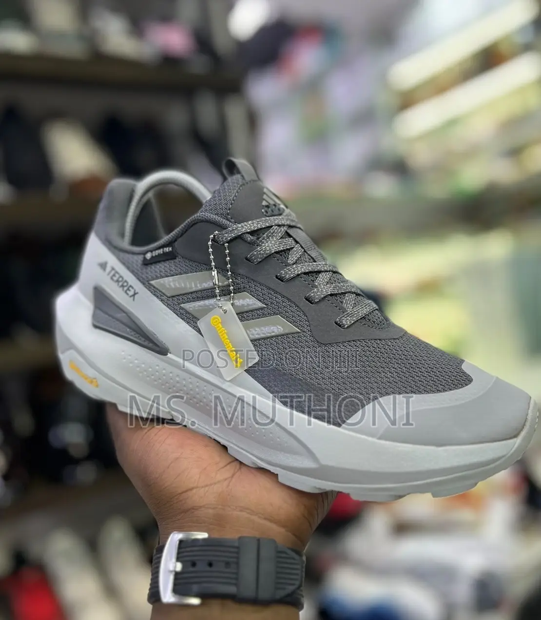 Adidas Terrex Hiking Shoes Featuring Gore-Tex Waterproofing.