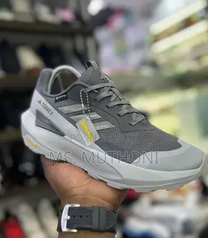 Adidas Terrex Hiking Shoes Featuring Gore-Tex Waterproofing.