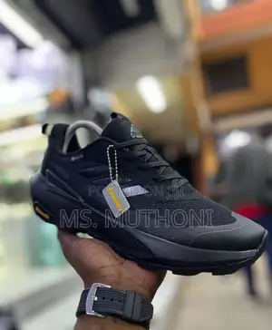 Adidas Terrex Hiking Shoes Featuring Gore-Tex Waterproofing.