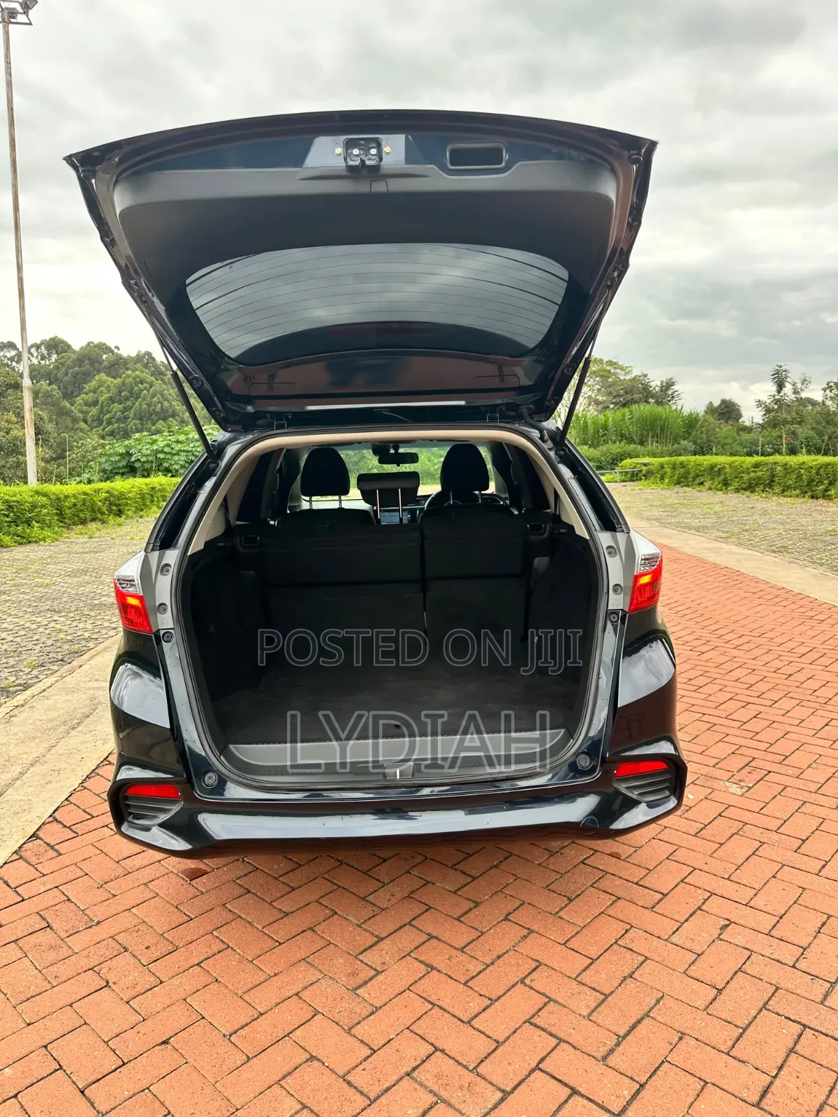 Honda Fit Shuttle 2019 Blue