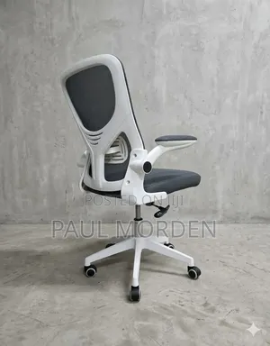 Adjustable Office Chair