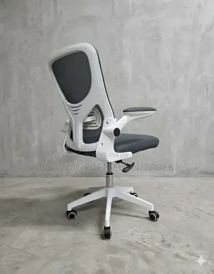 Adjustable Office Chair