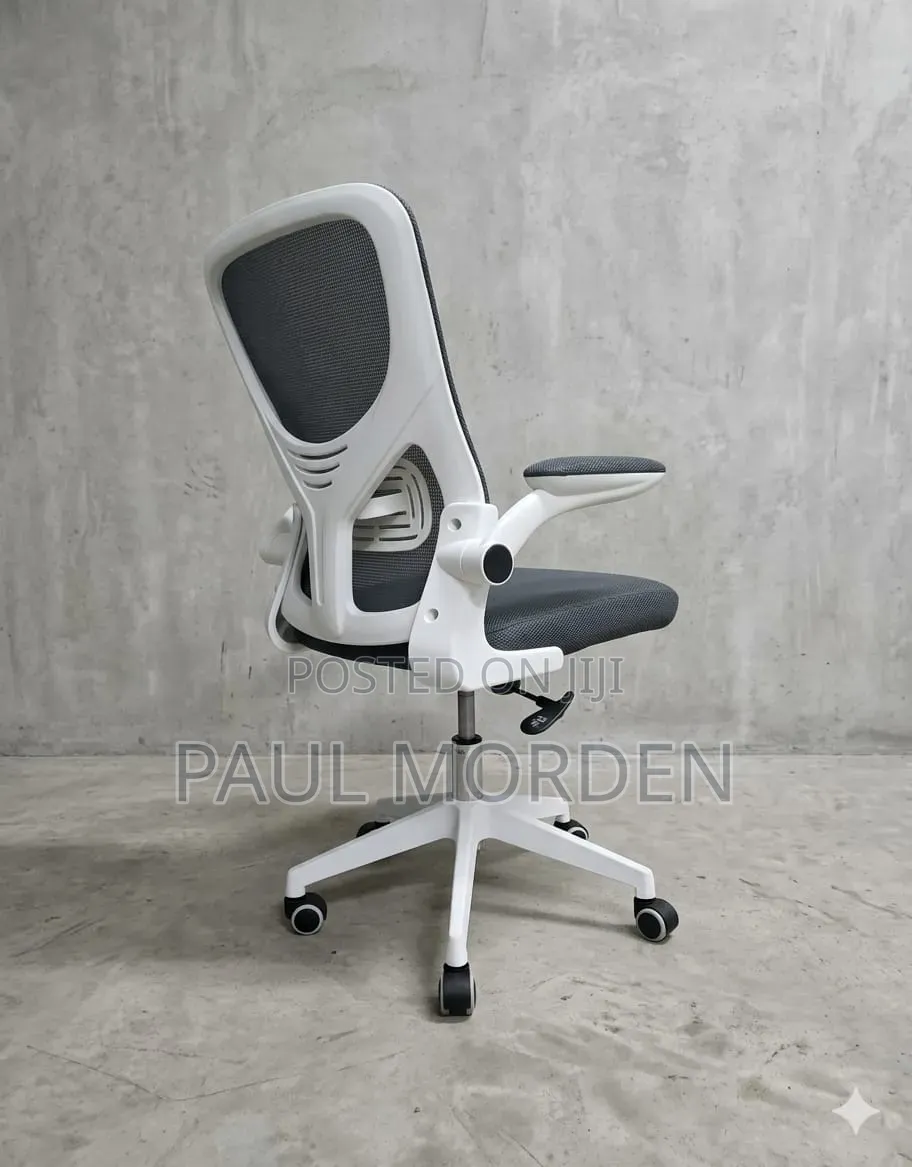 Adjustable Office Chair