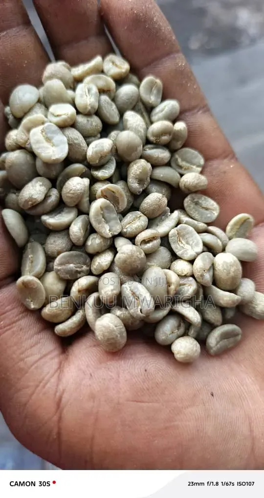 Robuster and Arabica