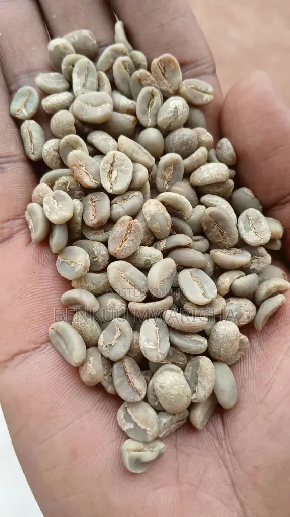 Robuster and Arabica