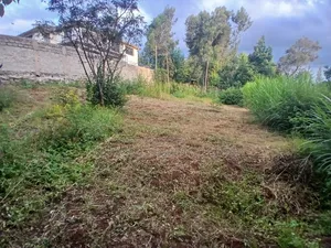 Quick Sale! Redsoil 1/4 Acre in Olkeri, Ngong 250 Metres Off Tarmac