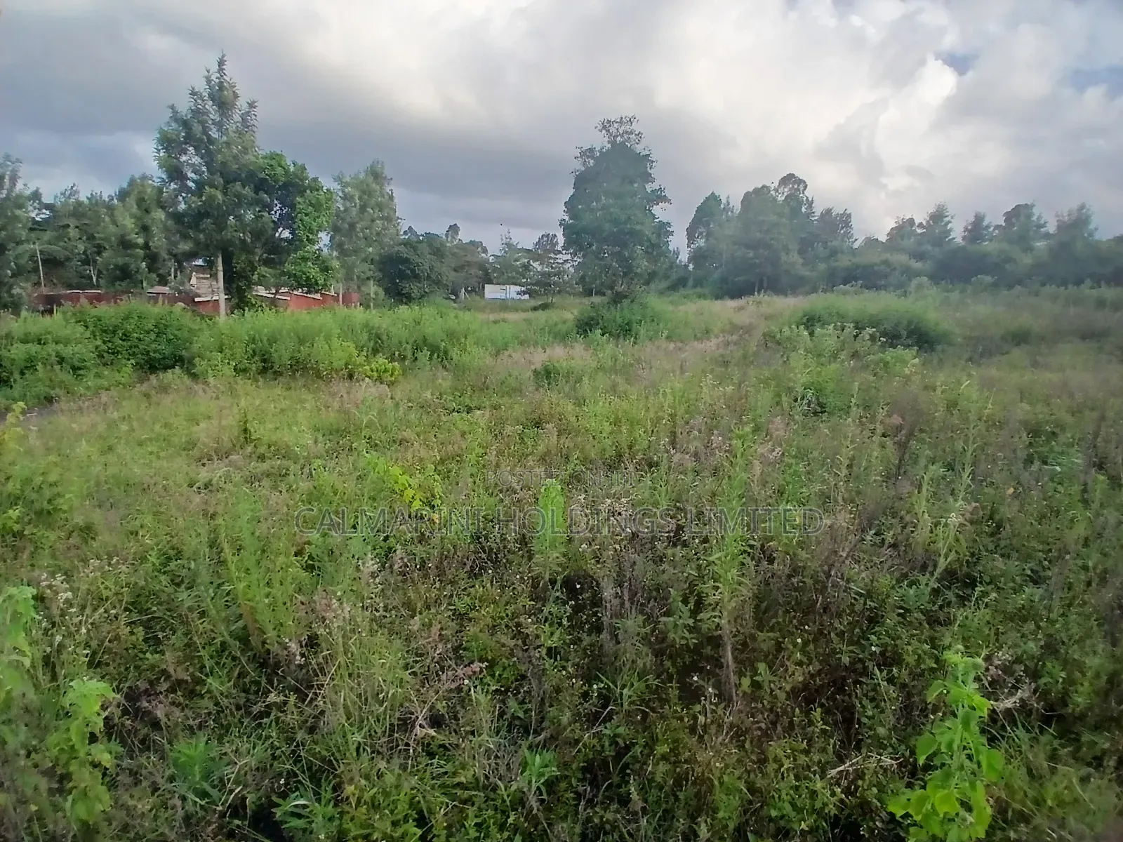 Prime 50 by 100 Plot for Sale in Olkeri, Ngong