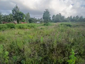 Prime 50 by 100 Plot for Sale in Olkeri, Ngong