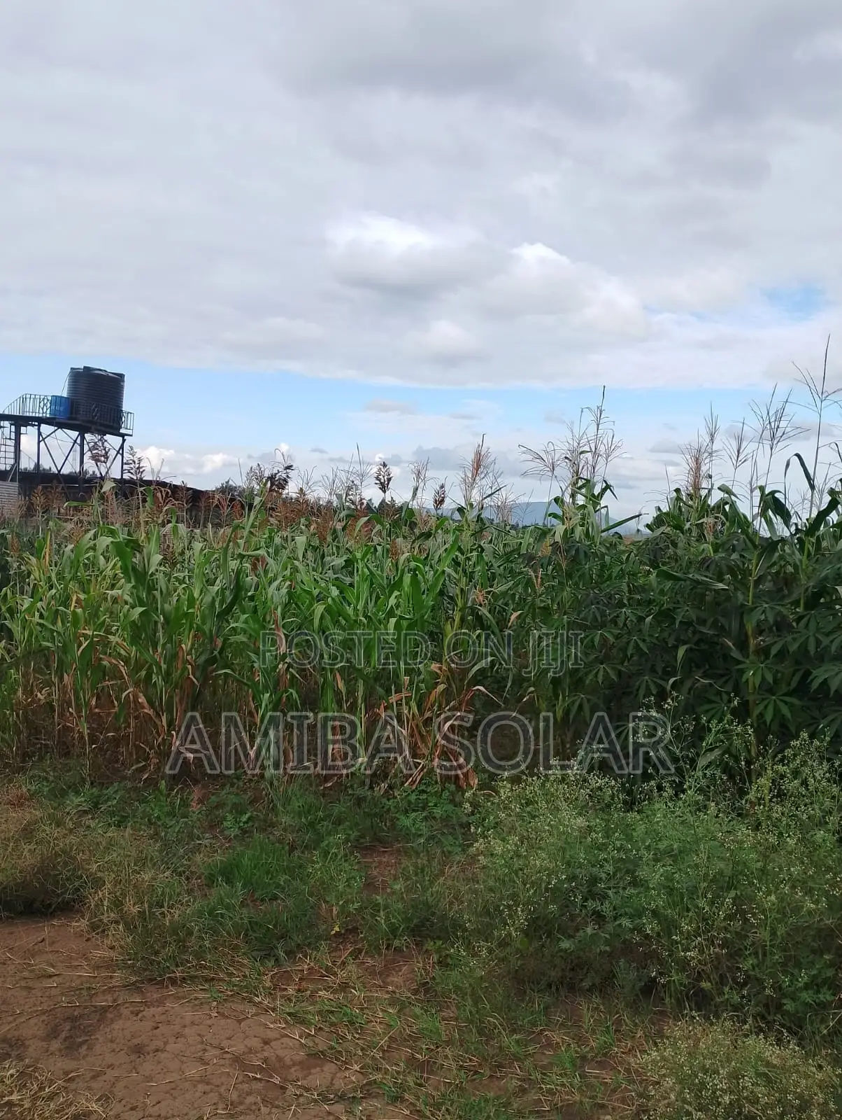 100 by 100 Plot for Sale-Thika Road