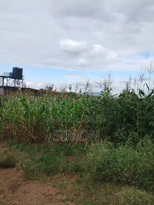100 by 100 Plot for Sale-Thika Road