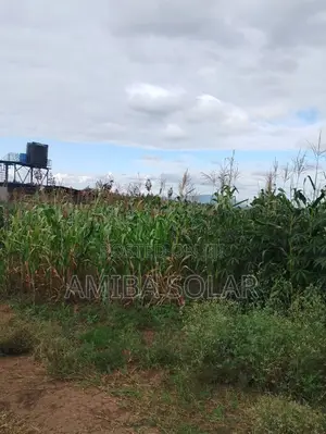 100 by 100 Plot for Sale-Thika Road