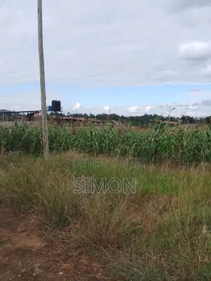 100 by 100 Plot for Sale-Thika Road