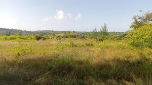Land on Sale Kwale Count Kundutsi 6 Acres Per Acre