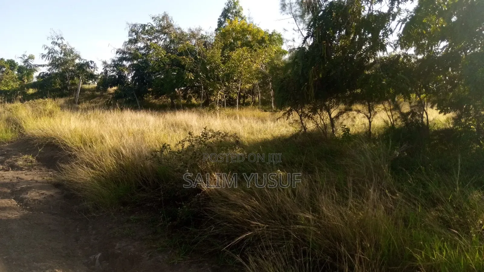 Land on Sale Kwale Count Kundutsi 6 Acres Per Acre